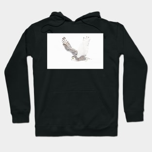 Snowy Owl Hoodie